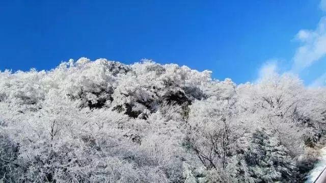僵尸敲方块